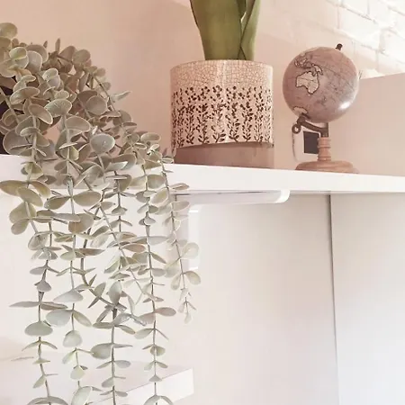 Apartment Inside House